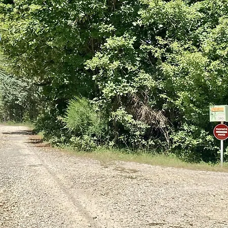 Chalé La Grisonne 1 Revest-du-Bion